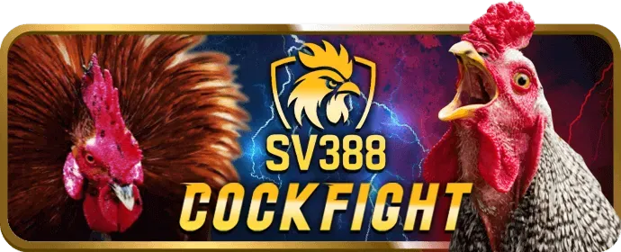 Quy trình nhận tiền thưởng chào mừng tại wm88 casino